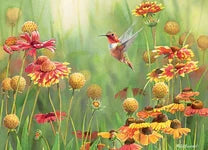 500 Piece Jigsaw Puzzle - Rufous Hummingbird | Cobble Hill