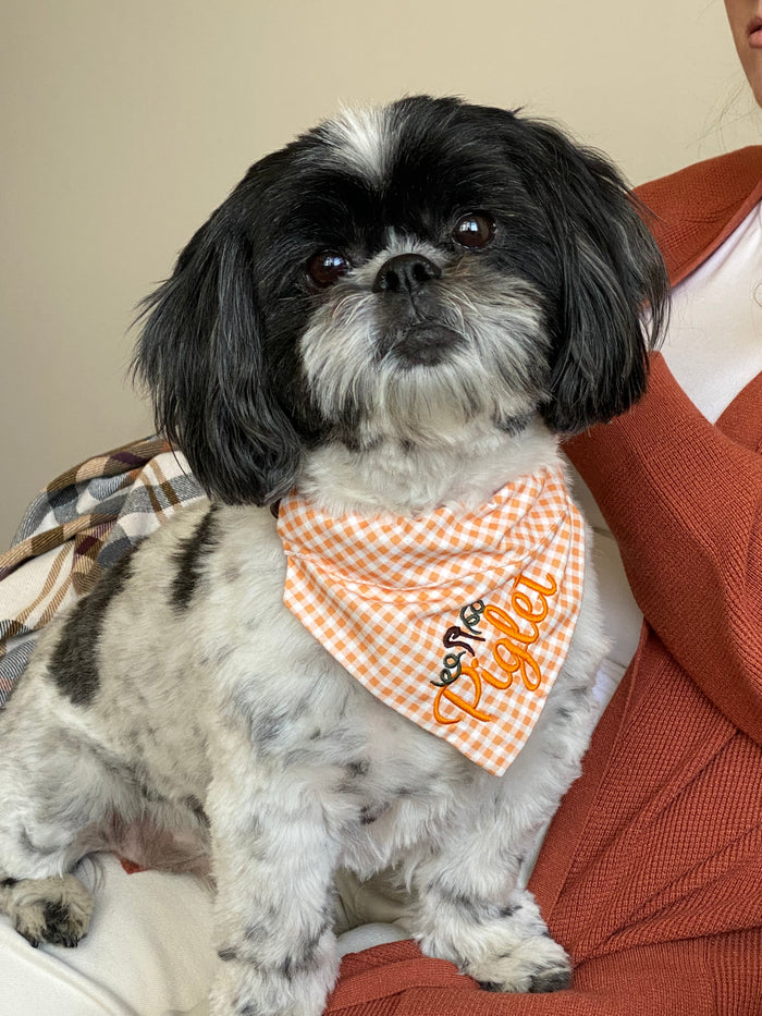 Whispy Floral Fall Dog Bandana