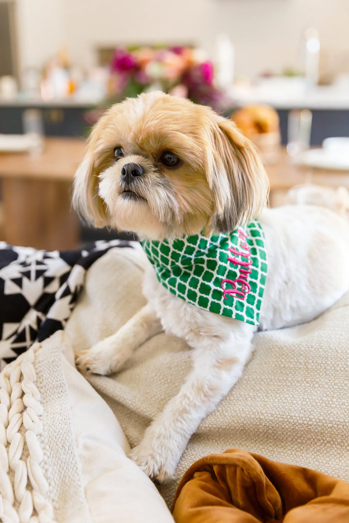 Beach Days Dog Bandana