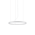 Chandelier ALUMA RING P215 – decorative ceiling chandelier | LAMP & LIGHT - Design forward Decorative lamp , Downlights, pendant lamp , striplights