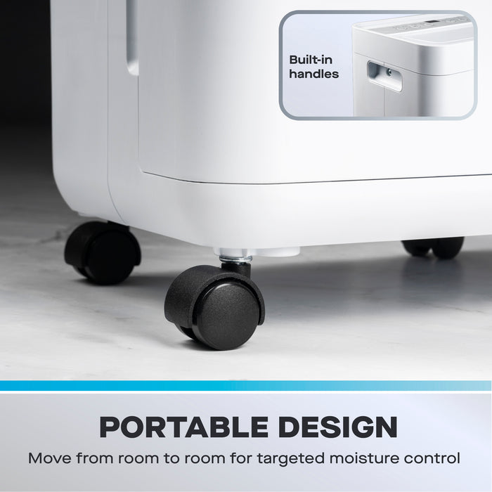 Daewoo 12L Dehumidifier with Air Purifier