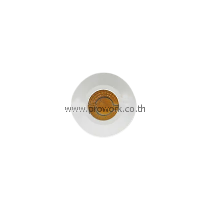 Downlight L54