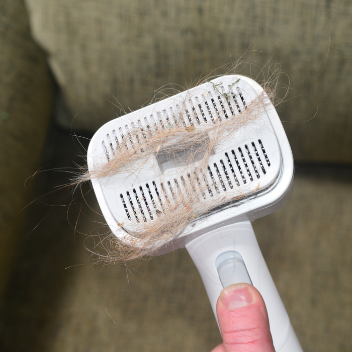 EdenPURE Bio SpeedCLEAN VX300 pet brush attachment with collected pet hair on bristles held over gray fabric background