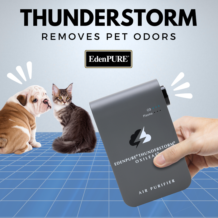 EdenPURE Thunderstorm Oxileaf III air purifier in gray held by hand with dog and cat on blue grid background