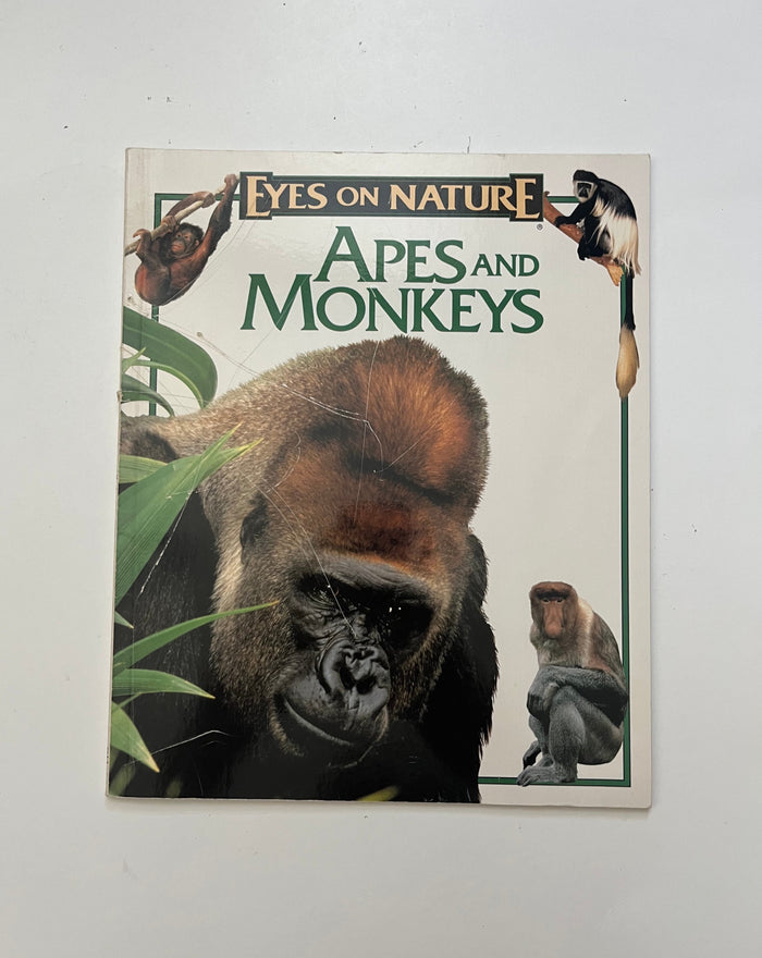 Eyes on Nature: Apes and Monkeys