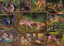 Family 350 Piece Jigsaw Puzzle - Into the Woods | Cobble Hill