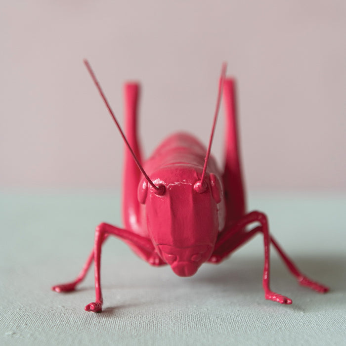 Fuchsia Resin Cricket