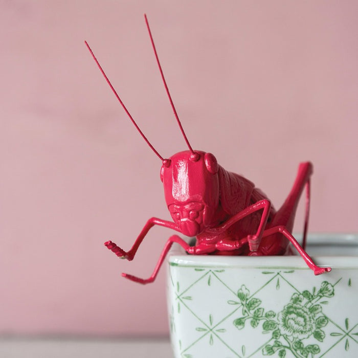 Fuchsia Resin Cricket