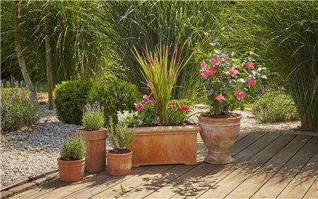 Gardena Start Set Flower Pots M