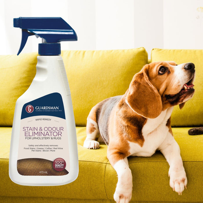 Guardsman Fabric Stain & Odour Eliminator, 473ml