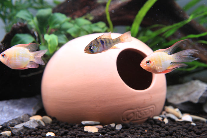 Ista Ceramic Shelter - Spawning Cone