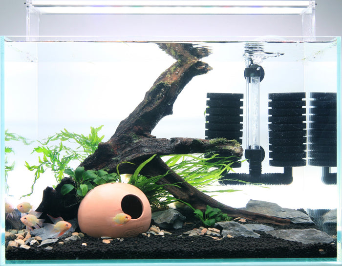 Ista Ceramic Shelter - Spawning Cone