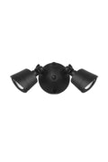 LED Double Flood Light