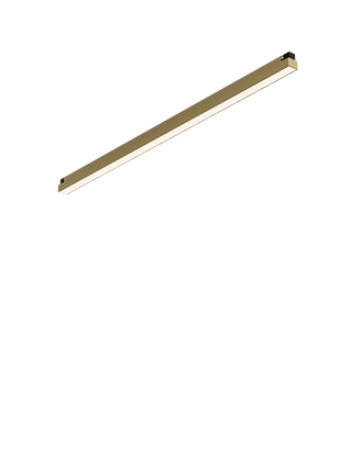 LUCE Tracklight LT1 LUCE AUGUST 24 3000K Gold – LED track light spotlight | LAMP & LIGHT - Design forward Decorative lamp , Downlights, pendant lamp , striplights