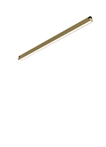 LUCE Tracklight LT1 LUCE AUGUST 24 3000K Gold – LED track light spotlight | LAMP & LIGHT - Design forward Decorative lamp , Downlights, pendant lamp , striplights