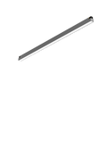 LUCE Tracklight LT5 LUCE AUGUST 24 3000K Silver – LED track light spotlight | LAMP & LIGHT - Design forward Decorative lamp , Downlights, pendant lamp , striplights
