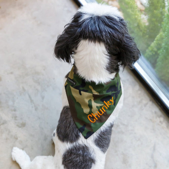 Mermaid Ball Dog Bandana