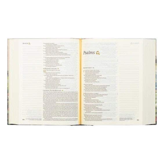 NLT Notetaking Bible - Coram Theme