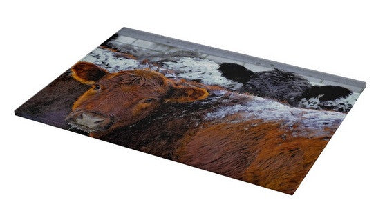 Peek a Boo Heifers Cutting Board