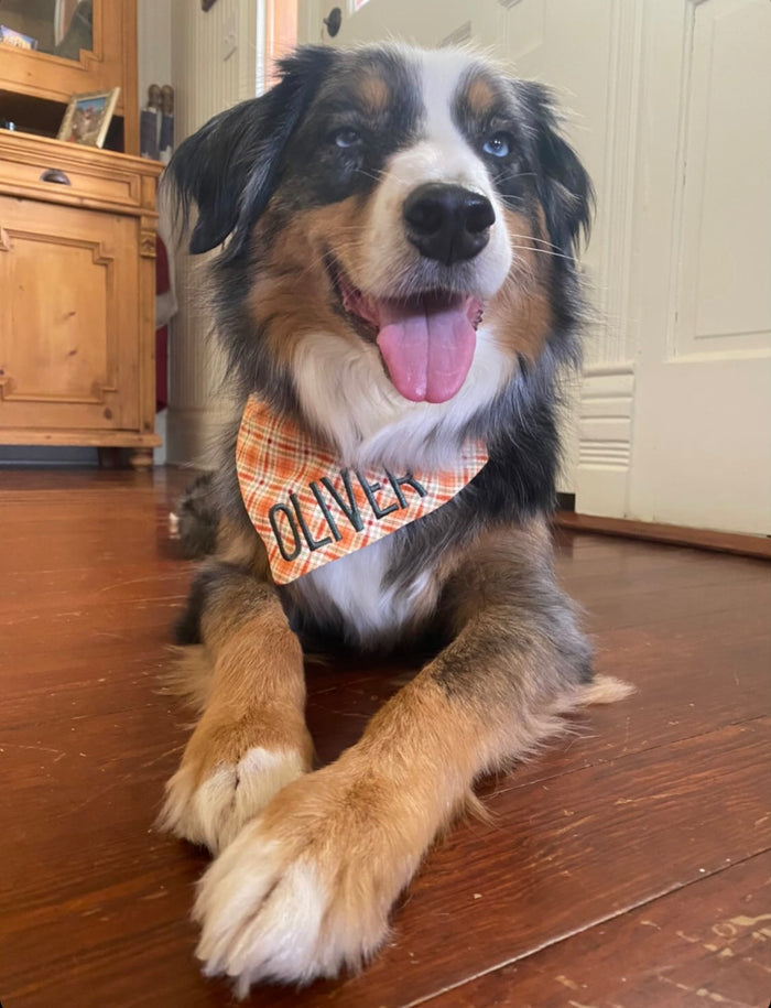 Preppy Spring Plaid Dog Bandana