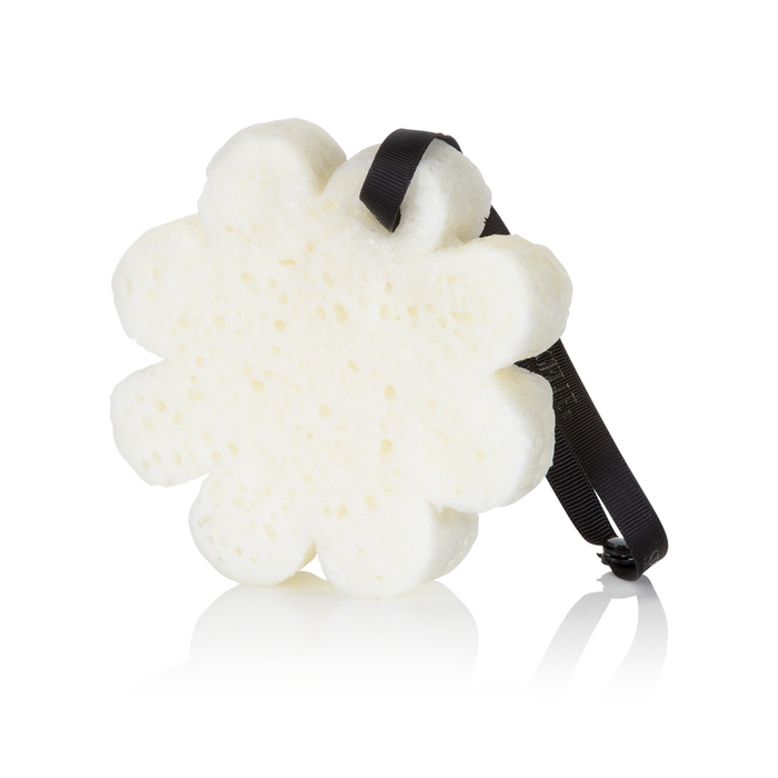 Sego Lily Elevation Boxed Flower