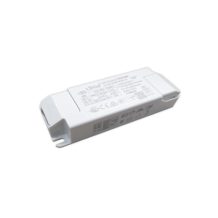 TRIAC Dimmable Driver 20W