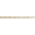 Tron 11 24V 3000K LED Striplight IP68 Water resist – LED strip light | LAMP & LIGHT - Design forward Decorative lamp , Downlights, pendant lamp , striplights