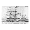 All-Grain Ingredient Kits - Wooden Ships Red Pale Ale - All Grain Kit